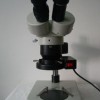 XTJ-1013D两档变倍显微镜