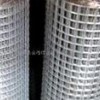 供应各种规的不锈钢电焊网、热镀锌电焊网