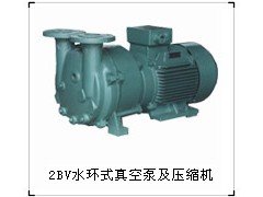 纳西姆2BV系列水环式真空泵及压缩机博山天体真空设备有限公司