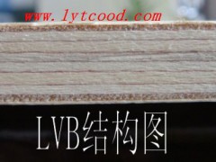 供应LVB 全杨木包装级多层胶合板