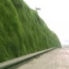 高速公路绿化  边坡绿化工程
