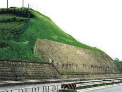 喷混植生技术要点 高速公路边坡绿化工程