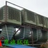 上海鹰旗环自主研发的环保空调|节能环保空调|冷风机