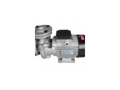 热油泵，高温油泵，木川泵TS-100，模温机专用泵