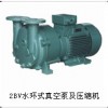 2BV系列水环真空泵及压缩机—淄博博山天体真空设备有限公司