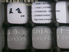 TGSG双向拉伸土工格栅工程应用及价格13793803036图1