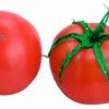 低温干燥番茄粉生产线设备
