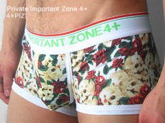 【批发供应】4+PIZ男士内裤新款上市批发《欢迎订购》