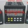 步进电机驱动器,运动控制器，XMTD-5000,XMTD-8000单双轴