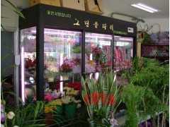 鲜花柜，鲜花展示柜，鲜花保鲜柜，鲜花冷藏柜，鲜花柜价格