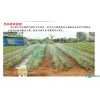 太阳能水泵农业灌溉