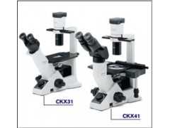 奥林巴斯显微镜 CKX31倒置显微镜