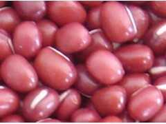 常年供大粒红小豆（宝清红）种子