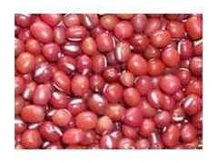 长期供红小豆（珍珠红）种子