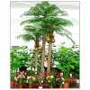 仿真大树产品开发生产出口销售于一体大型仿真椰子树