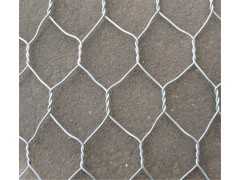 六角网，镀锌低碳钢丝六角网河道防护网， （图）-亚安丝网厂