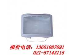 NSE9720防眩应急通路灯，NFC9180 上海出售中