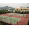 上海网球场围网 网球场隔离网 北京篮球场围网 隔离网护栏