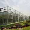 蔬菜大棚建设 玻璃温室
