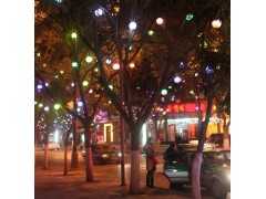 LED灯串-绕树灯串-街道亮化灯串-街道两旁装饰灯串