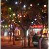 LED灯串-绕树灯串-街道亮化灯串-街道两旁装饰灯串