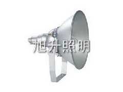 CNTC9200防震型超强投光灯  防爆防震投光灯