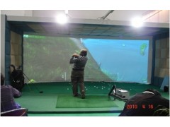 2012美国进口 Achieve-08室内高尔夫模拟器