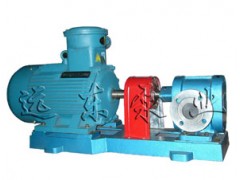 2CY-2.1专用传输齿轮泵，KCB齿轮泵，磁力齿轮泵