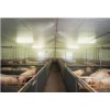 养猪场喷雾降温（加湿、消毒、除臭）设备