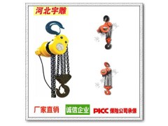 群吊电动葫芦盘式电机|宇雕DHP环链电动葫芦经久耐用
