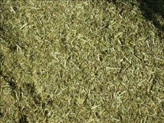 海大农业苜蓿草粉