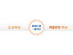 上海网站建设—电商类平台（阿里阿外）