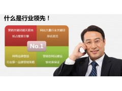 提供专业上海网络营销服务—G+营销