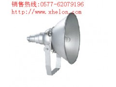 海洋王NTC9210防震型投光灯