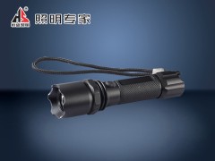 供应销售GAD202-J多功能强光巡检电筒灯