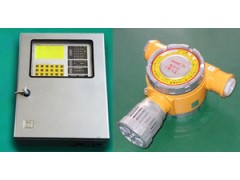 氢气报警器SNK8000