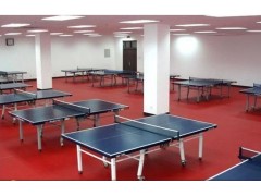 乒乓球馆PVC运动地板乒乓球馆PVC塑胶运动地板,乒乓球地板