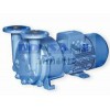 东山2BV-5110水环式真空泵