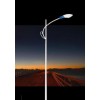 扬州阿拉丁照明 供应单臂灯路灯 造型独特