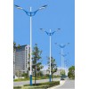 扬州阿拉丁照明 供应10米双臂灯制作DL-002 造型独特