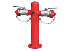 供应优质PSS80-PSS150室外地上泡沫消火栓