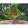 上海最大的公墓 汇龙园陵园 海港陵园公墓 上海公墓新闻