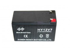 供应门禁后备电池|电池