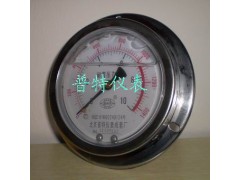 轴向带边耐震压力表YTN100ZT 轴向带边耐震压力表 求购图1