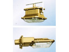 SBD1101-YQL50(A)免维护节能防爆灯