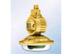 SBD1102-YQL40免维护节能防爆灯