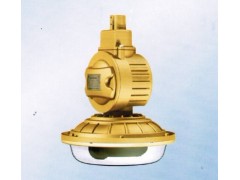 SBD1103-YQL50免维护节能防爆灯