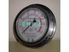 标准 轴向带边耐震压力表 YTN100ZT轴向带边耐震压力表