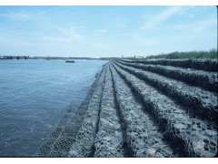 河北铁丝网厂、专业生产格宾网、格宾石笼网、重型六角网