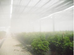 电子厂喷雾湿温设备，印刷厂微雾加湿系统